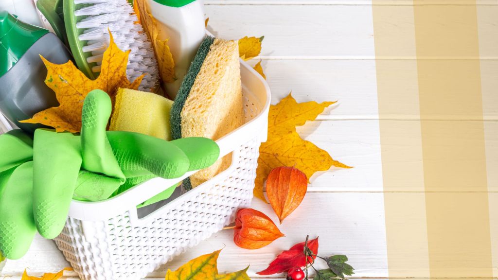 Seasonal Declutter Clearview Cleaning and Organizing Get your home cozy gloves basket cleaning supplies leaves leaf orange red porch home