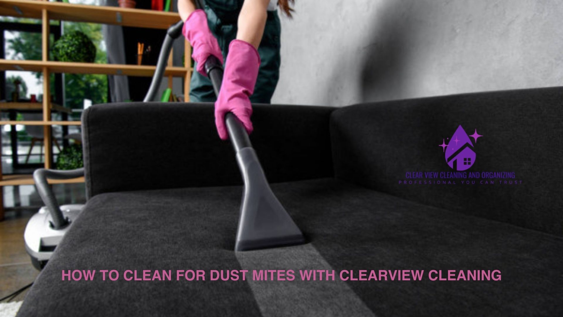 Clearview Cleaning and Organizing couch vacuum upholstery dust mites gloves